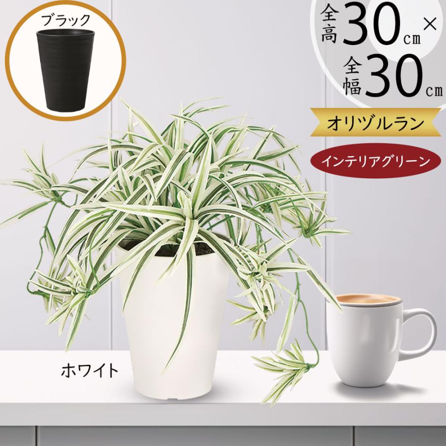 オリズルラン インテリアグリーン おしゃれ 人気 フェイクグリーン