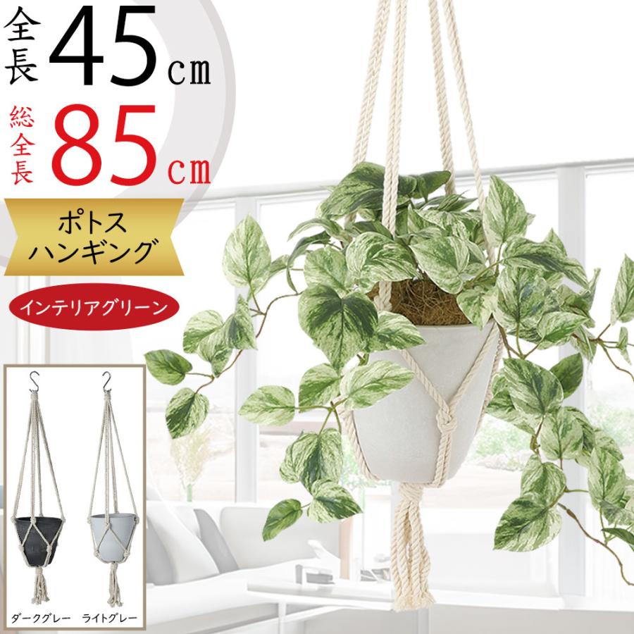 ハンギングプランター おしゃれ 人気 観葉植物 リアル インテリア