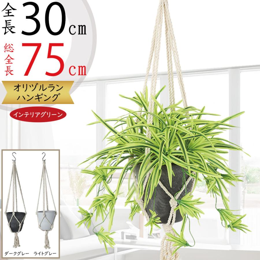 ハンギングプランター おしゃれ 人気 観葉植物 リアル インテリア
