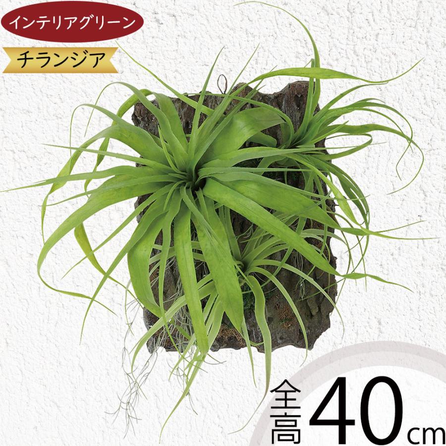 光触媒 人工観葉植物 ウォールグリーン フェイクグリーン チランジア