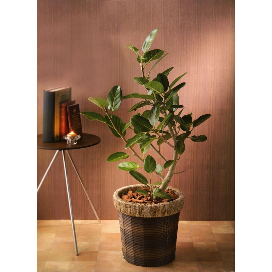 バスケット 鉢カバー おしゃれ 人気 プランター 観葉植物 花器