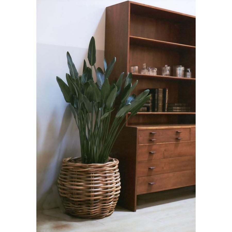 鉢カバー バスケット おしゃれ 大型 人気 プランター 観葉植物