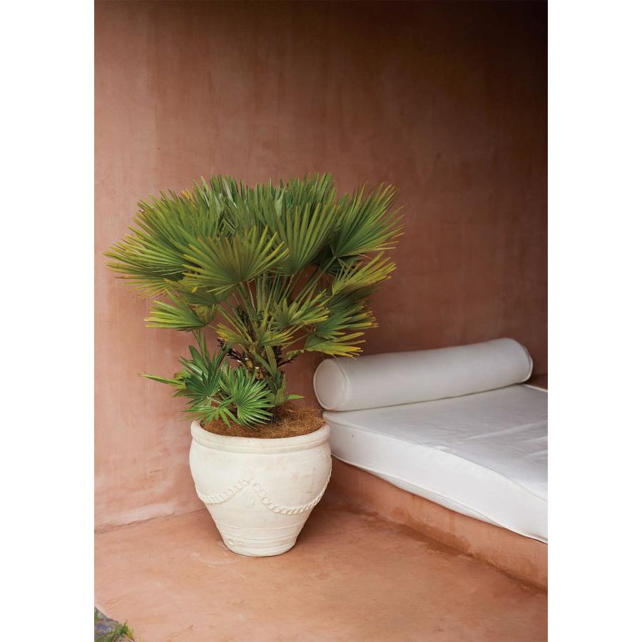 植木鉢 テラコッタ 大型 おしゃれ 人気 プランター 鉢カバー