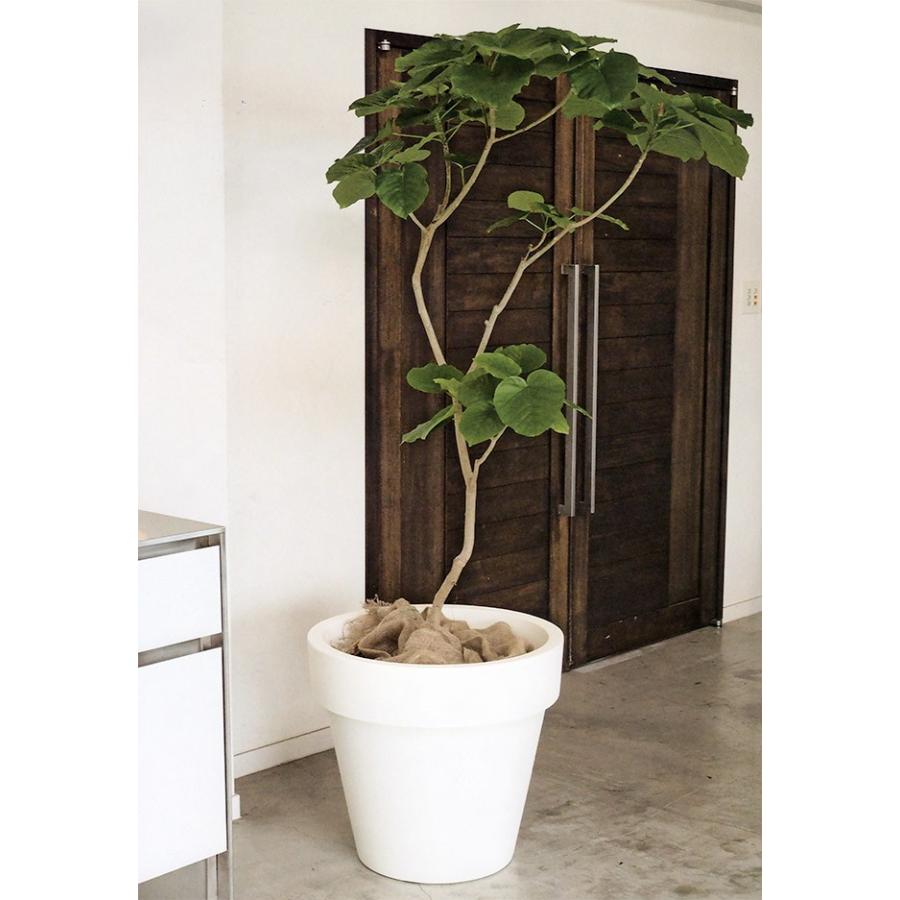 大型 鉢カバー スタンダードワン60 17号用 全高54cm 直径60cm 重量3 3kg 容量80リットル 底穴なし ポリエチレン プランター ポット 鉢 Tp 1 人工観葉植物と造花の通販ケイシン 通販 Yahoo ショッピング