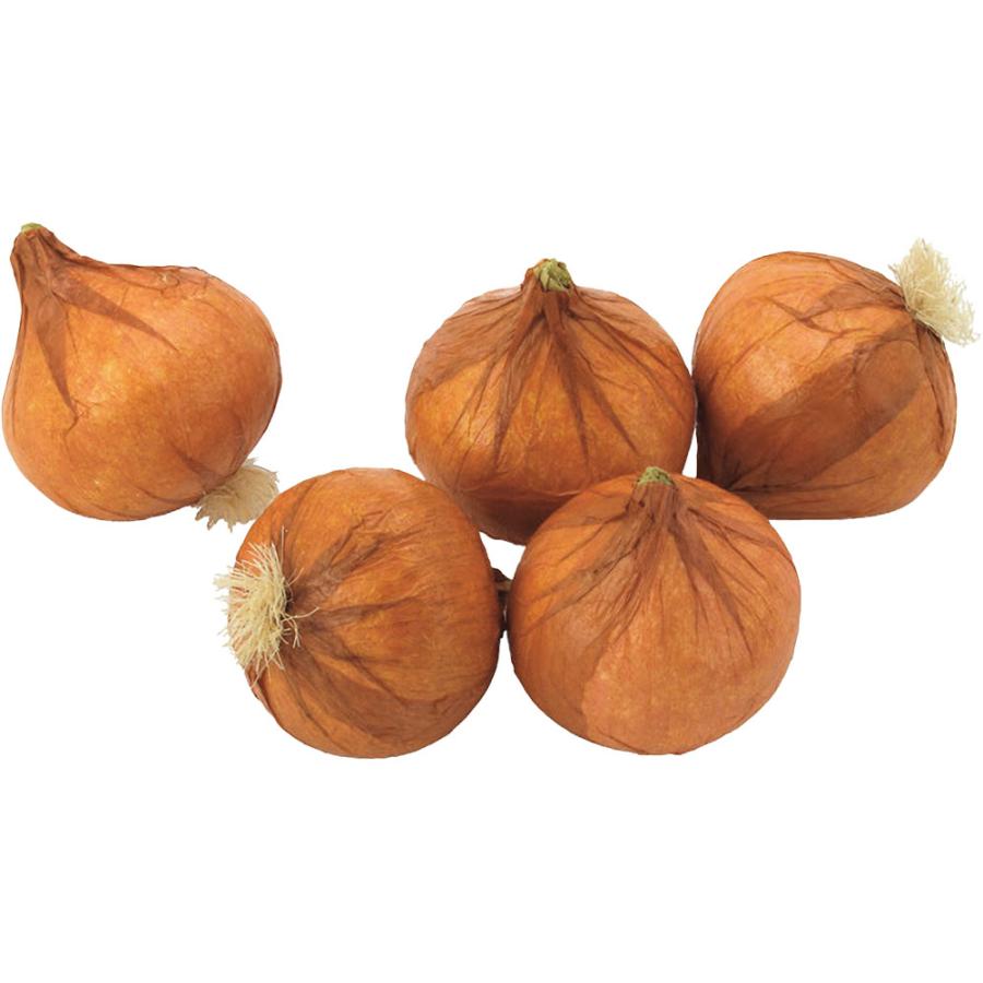 値下】展示品 タマネギ 食品サンプル 56個入 飲食 小物 雑貨 イメージ