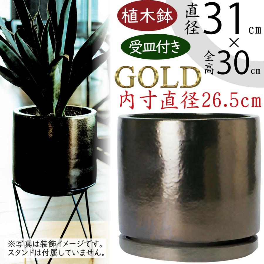 植木鉢 大型 受け皿付き おしゃれ 人気 おすすめ プランター 観葉鉢