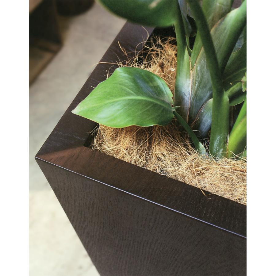 大きめの観葉植物に 】おしゃれ 木製 トール プランター ボックス 高さ