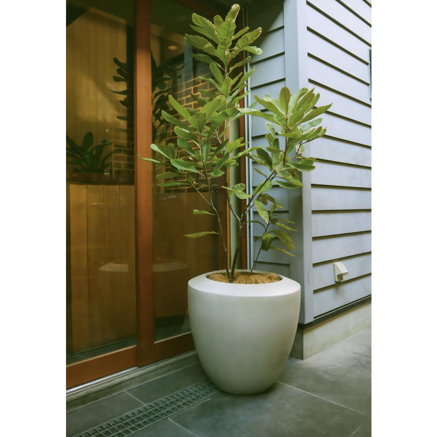 植木鉢 おしゃれ プランター 大型 人気 おすすめ ポット 観葉植物 園芸