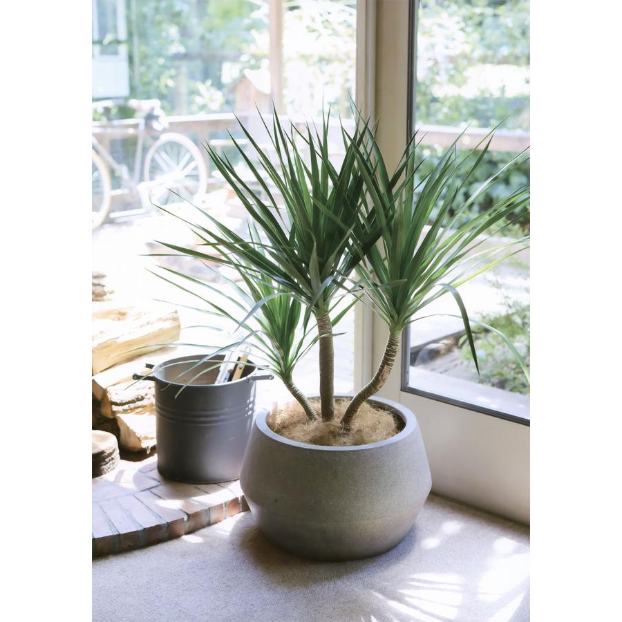鉢カバー おしゃれ 大型 プランター 観葉植物 人気 おすすめ インテリアグリーン 園芸 ガーデニング 樹木 緑 花 インテリア パボ ジャー ロー 大きい 大きめ L53の画像
