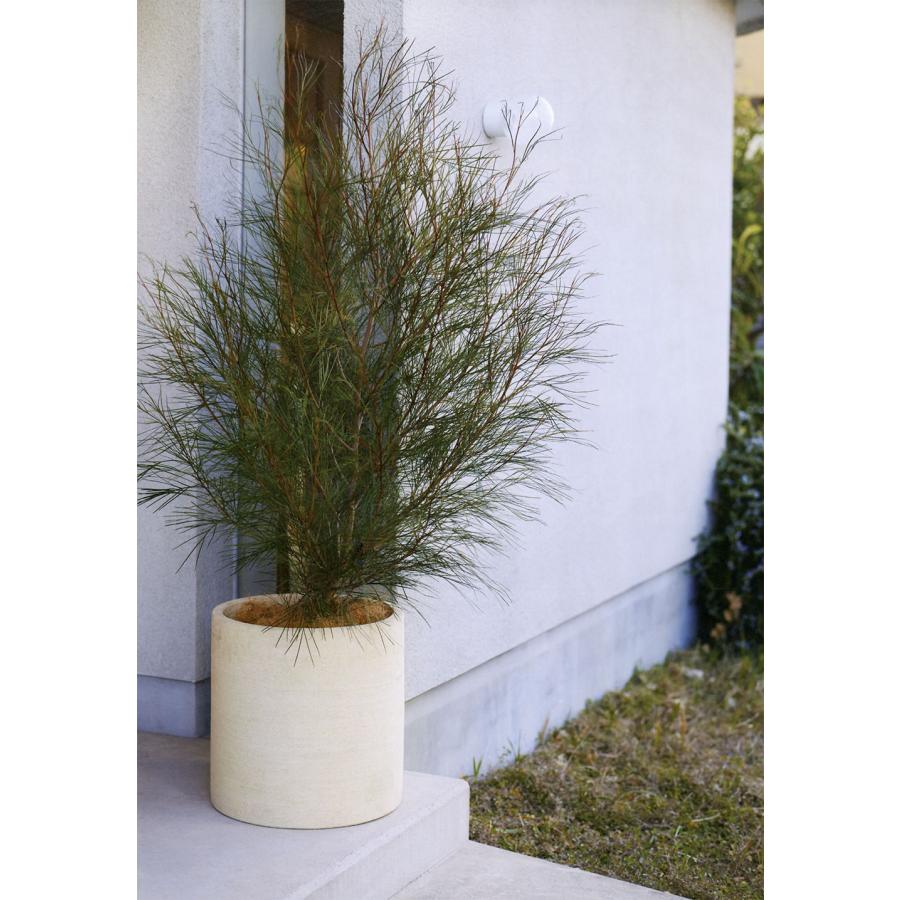 植木鉢 おしゃれ 大型 プランター 人気 おすすめ 観葉植物 園芸 観葉鉢
