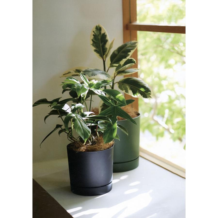 植木鉢 おしゃれ 人気 おすすめ プランター 受け皿付き 軽量 ポット 器