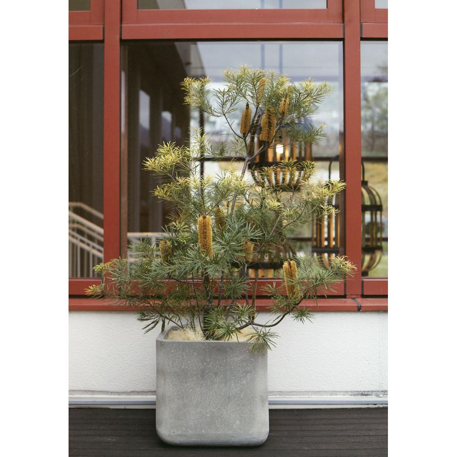 植木鉢 おしゃれ 大型 プランター 観葉植物 ポット 園芸 ガーデニング 人気 おすすめ 大きい 大きめ 軽量 FRP コーテス キューブ お庭 バルコニー テラス 12号の画像