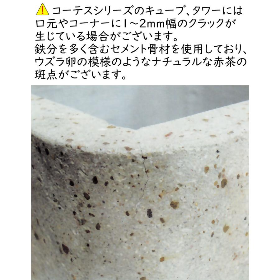 植木鉢 おしゃれ 大型 プランター 観葉植物 ポット 園芸 ガーデニング 人気 おすすめ 大きい 大きめ 軽量 FRP コーテス キューブ お庭 バルコニー テラス 12号の画像