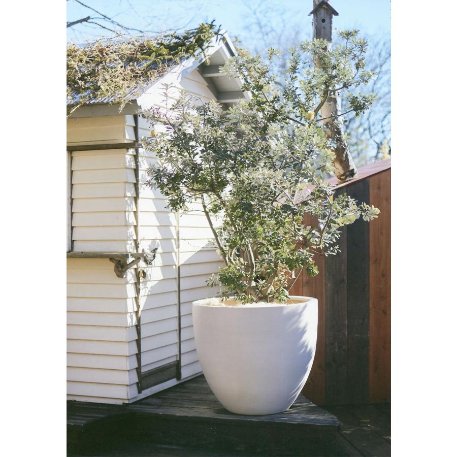 植木鉢 おしゃれ プランター 大型 観葉植物 人気 おすすめ 特大 大きい 大きめ マグナス ラウンド シンプル モダン 高品質 上質 灰 黒 白 お庭 テラス 屋上 19号 |  | 05