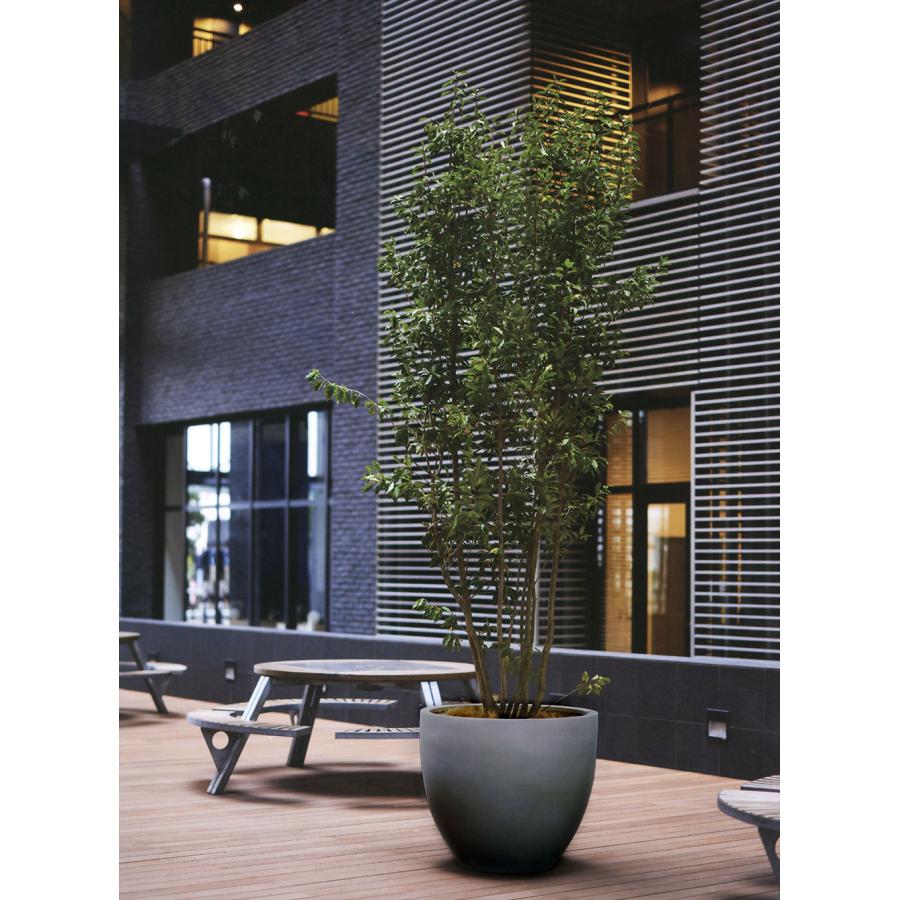 植木鉢 おしゃれ プランター 大型 観葉植物 人気 おすすめ 特大 大きい 大きめ マグナス ラウンド シンプル モダン 高品質 上質 灰 黒 白 お庭 テラス 屋上 19号 |  | 06