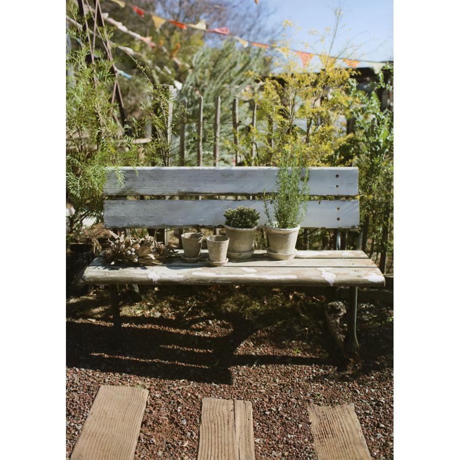 セット 鉢皿 朝皿 水受け皿 シャビー アンティーク 陶器 テコラッタ