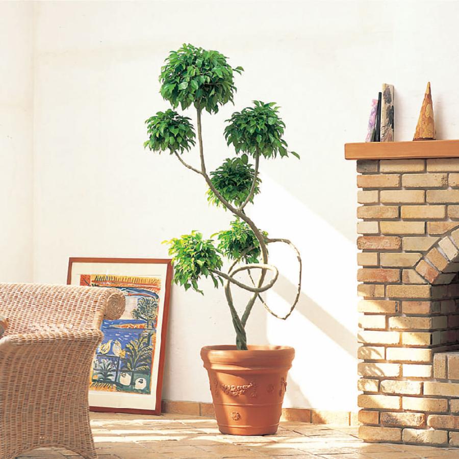 鉢カバー プランターカバー 人気 おしゃれ 大型 ポット 植木鉢 観葉鉢