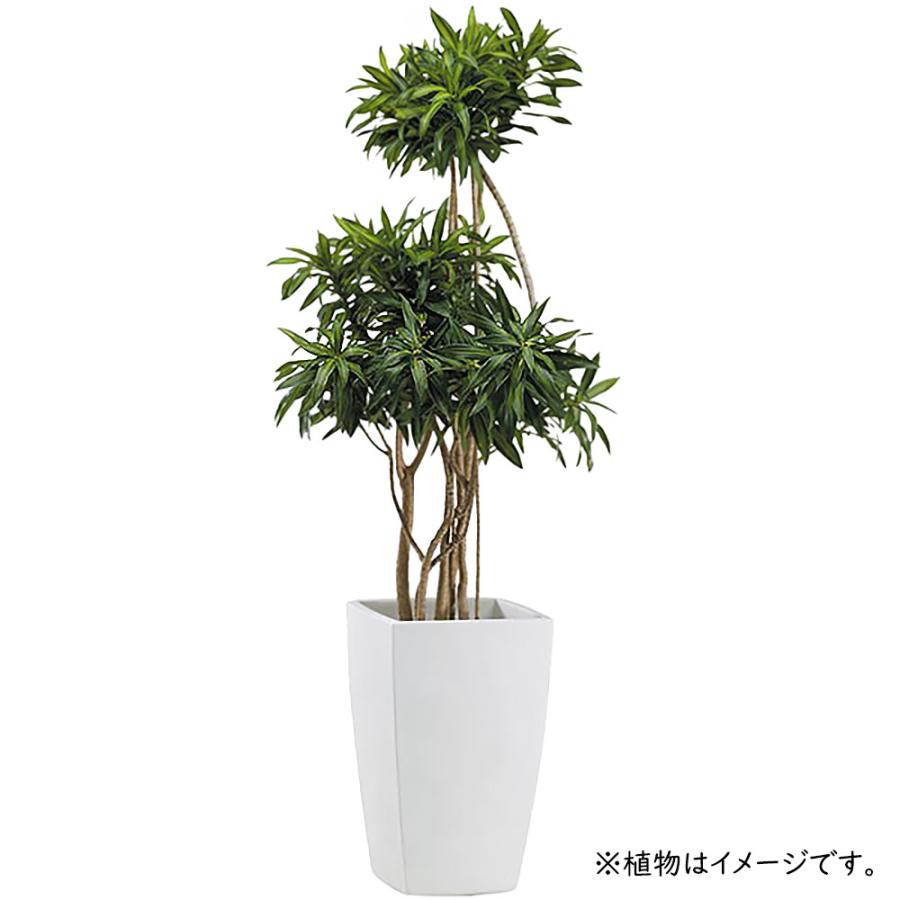 鉢カバー 大型 おしゃれ プランターカバー 植木鉢 観葉植物 インドア