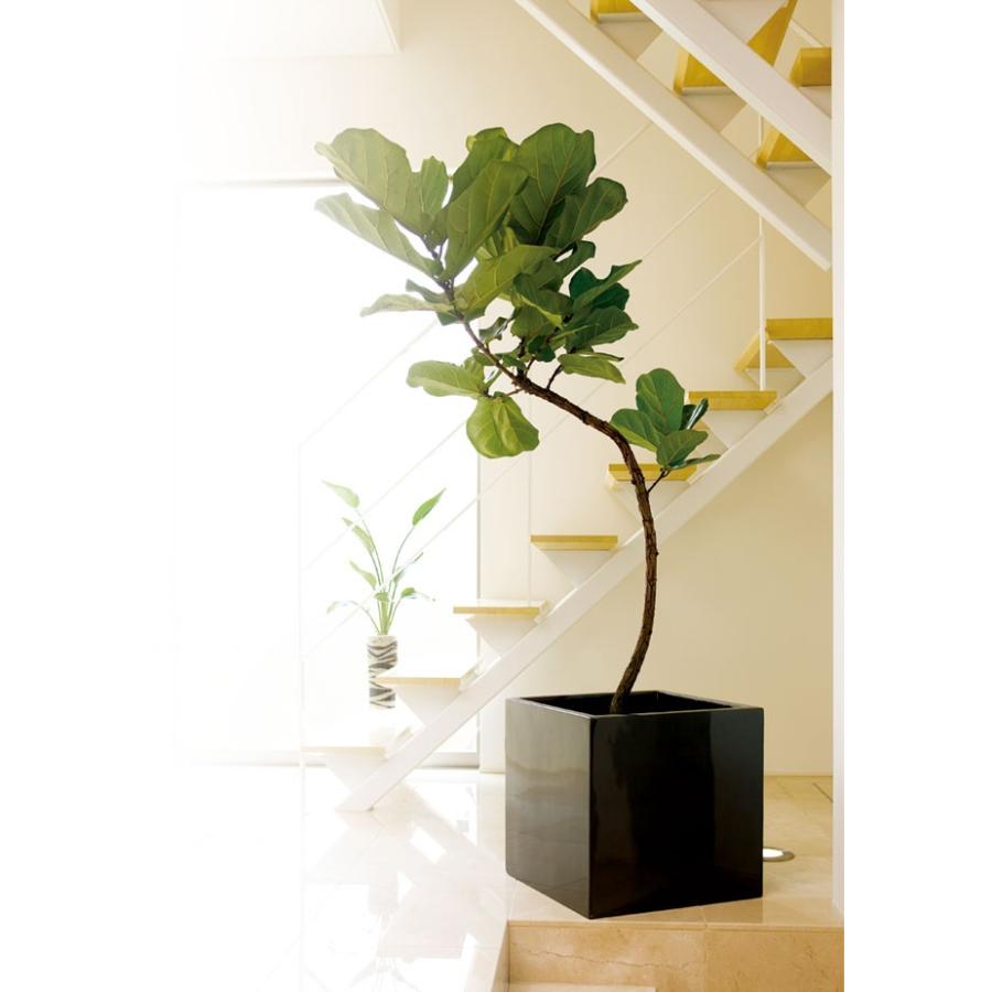 鉢カバー Frp製 キューブ ポット S43型 8 10号用 全高43cm 口43cm 底穴なし 軽量プランター 鉢 花器 ファイバーグラス 樹脂製 観葉植物用 Ypb 401 人工観葉植物と造花の通販ケイシン 通販 Yahoo ショッピング