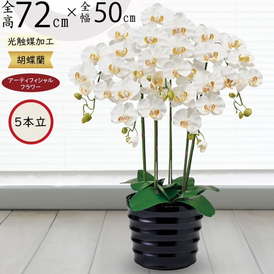 黄釉の花蘭多肉菖蒲鉢 植木鉢 装飾品 工芸品 置物