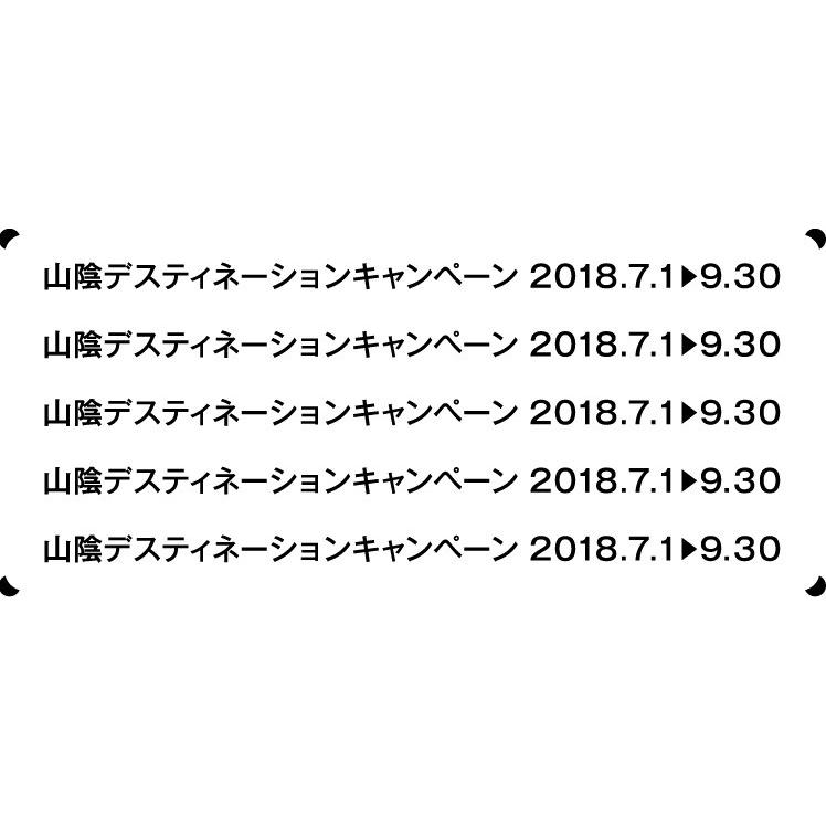 381系やくも Nostalgic San'in（山陰デスティネーシ【フルカラー