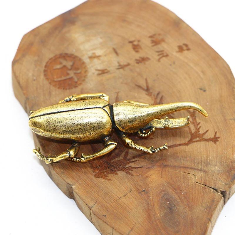 楽ギフ のし宛書 昆虫標本 ヘラクレスオオカブト アクリルフレーム 透明 Fucoa Cl