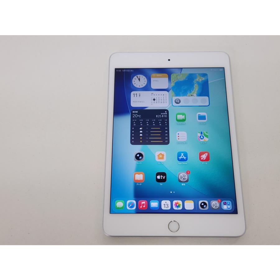 送料当店負担 iPad mini 7.9インチ 第5世代 Wi-Fi+Cellular 64GB 美品