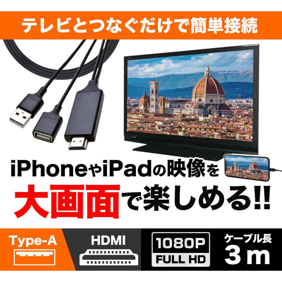 カラクラの筐体にiPadの液晶とHDMIコントローラーを組み込んだもの ラスタバナナ iPhone iPad用 ミラーリングケーブル フルHD対応 Type-A