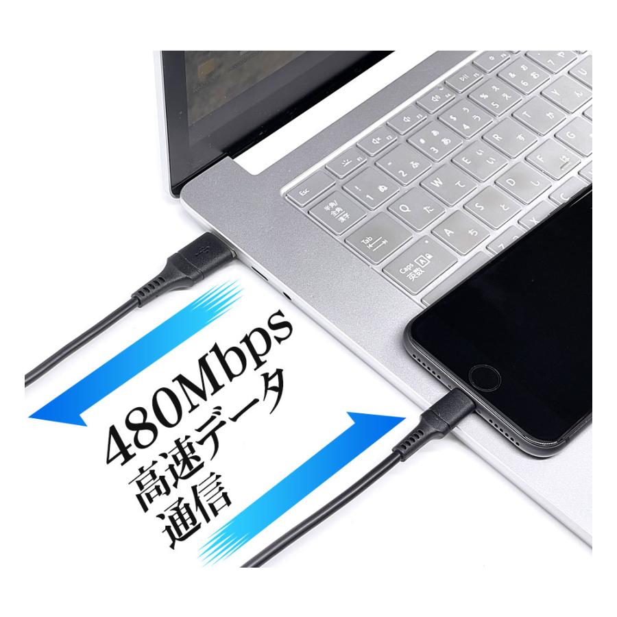 ラスタバナナ iPhone iPod iPad MFi認証 2.4A ライトニング USB