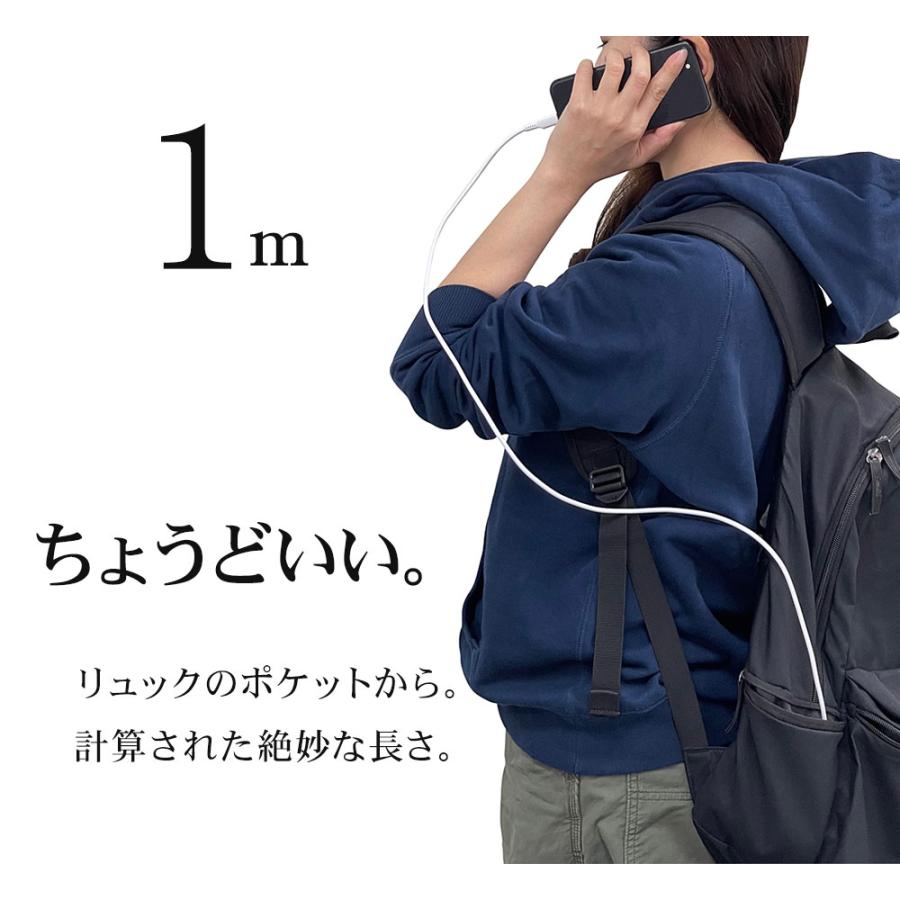 ラスタバナナ iPhone iPod iPad MFi認証 L字ライトニング ラスタバナナ iPhone iPod iPad MFi認証 L字ライトニング