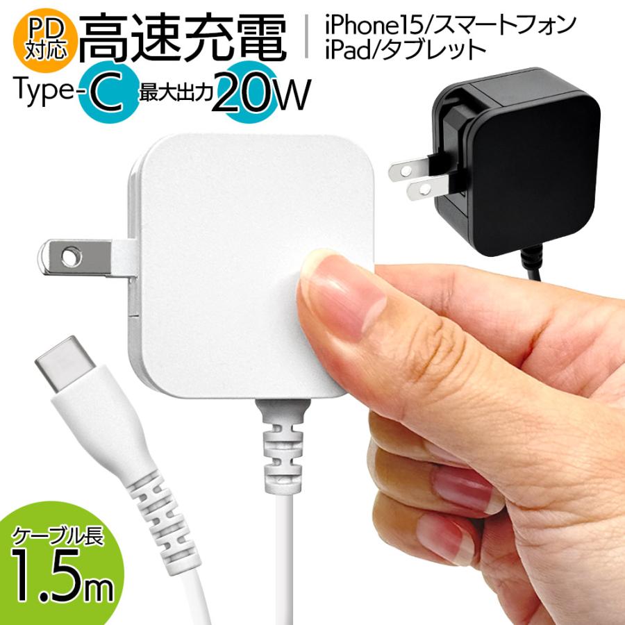 ラスタバナナ 充電器 ACアダプター AC充電器 タイプC PD ケーブル一