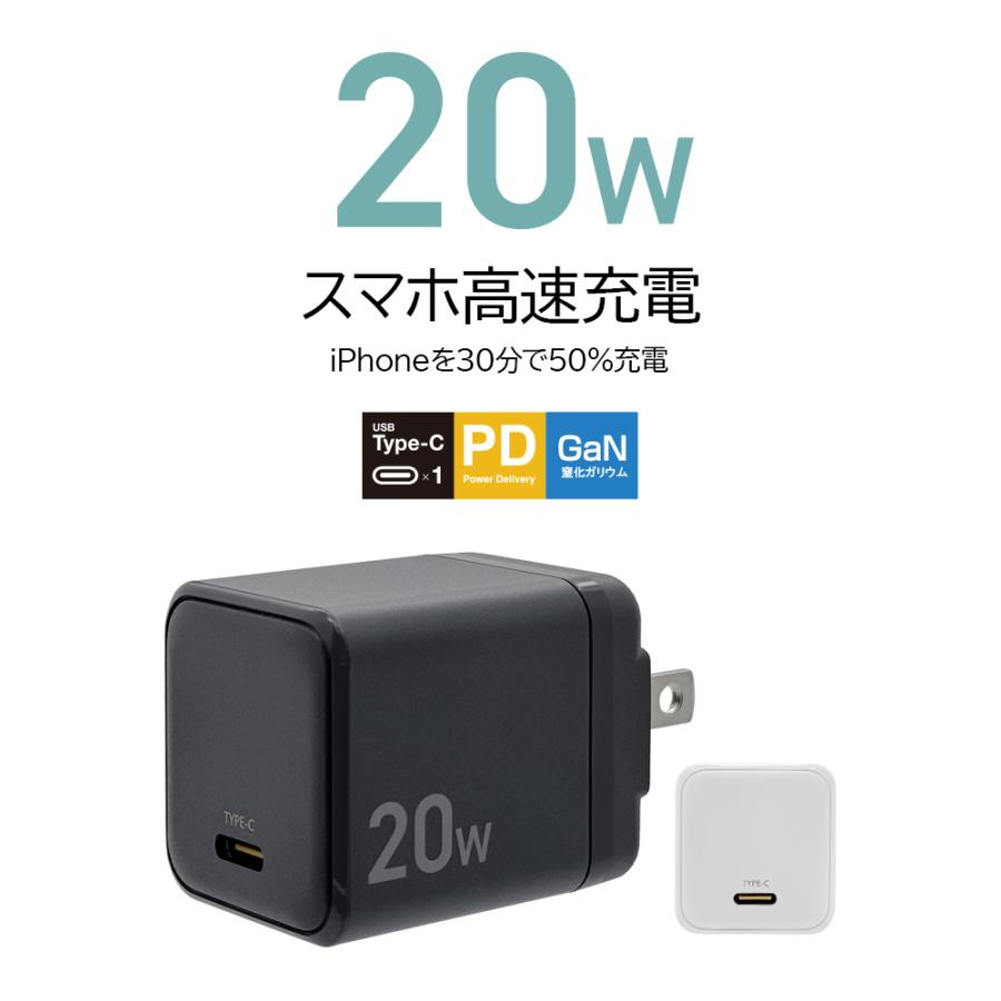 ラスタバナナ 充電器 ACアダプター AC充電器 タイプC PD対応 パワー