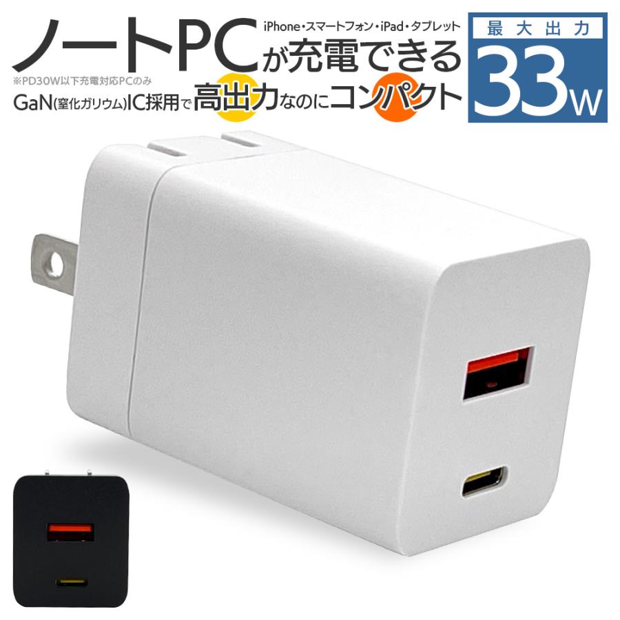 いるか　レジスタ 電源アダプター付き ラスタバナナ 充電器 ACアダプター AC充電器 タイプC PD PPS 33ワット
