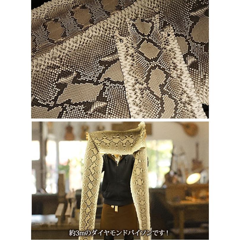 三線 ヘビ柄 ケース付き ヘビ皮三線 専用ケース付き 沖縄