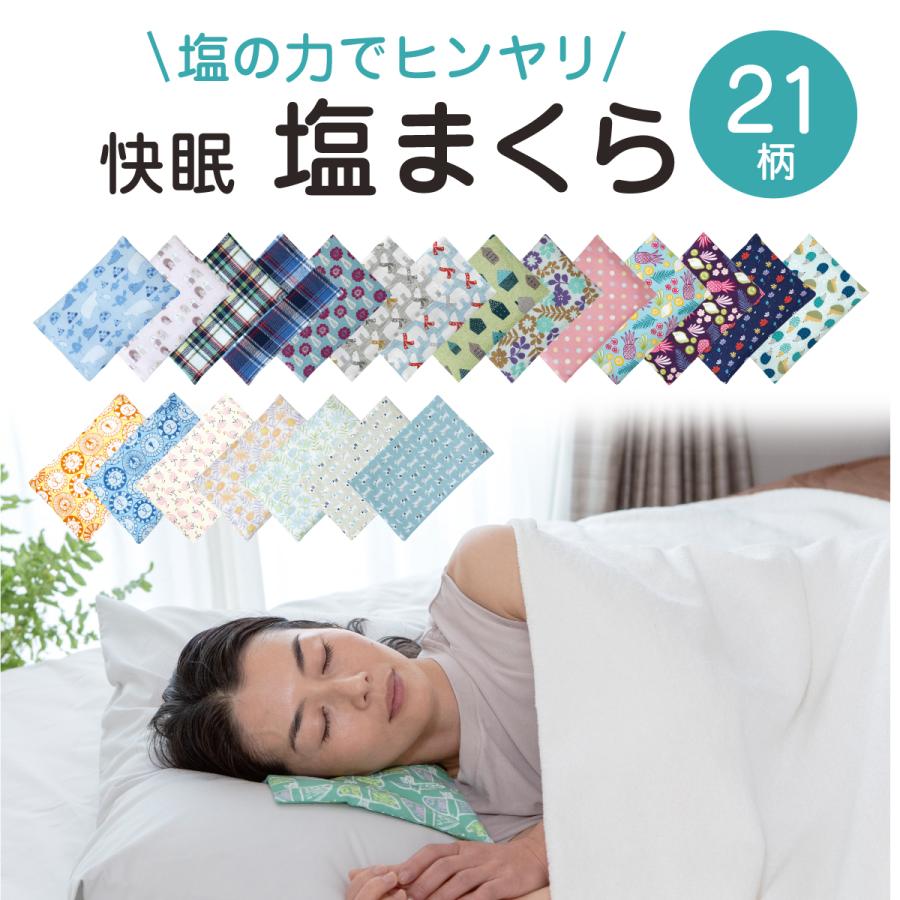 【未使用】 Salt Pillow 快眠塩まくら 稚内珪藻土入り 安眠枕 快眠塩まくら 枕 冷感 ひんやり 冷たい 柄 ケイテイ 涼しい クール