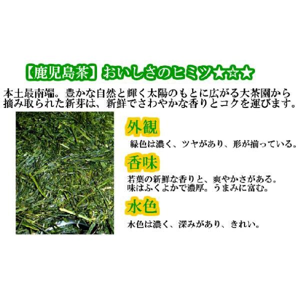 鹿児島茶 高級煎茶 朝露 100g｜keiwaen｜02