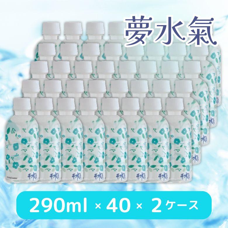 1003555-kf  夢水氣　290ml×40本×2ケース (ワッズ)  (送料無料※沖縄・離島を除く)  (同梱不可)（Yahoo!・奈良恵友堂）