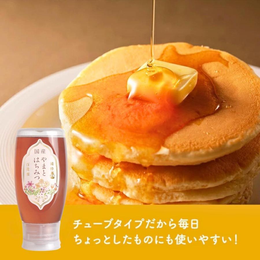 はちみつボトル3本セット (国産純粋蜂蜜500g × 3本セット) (やまと蜂蜜) (送料込み) C-210-ya_1