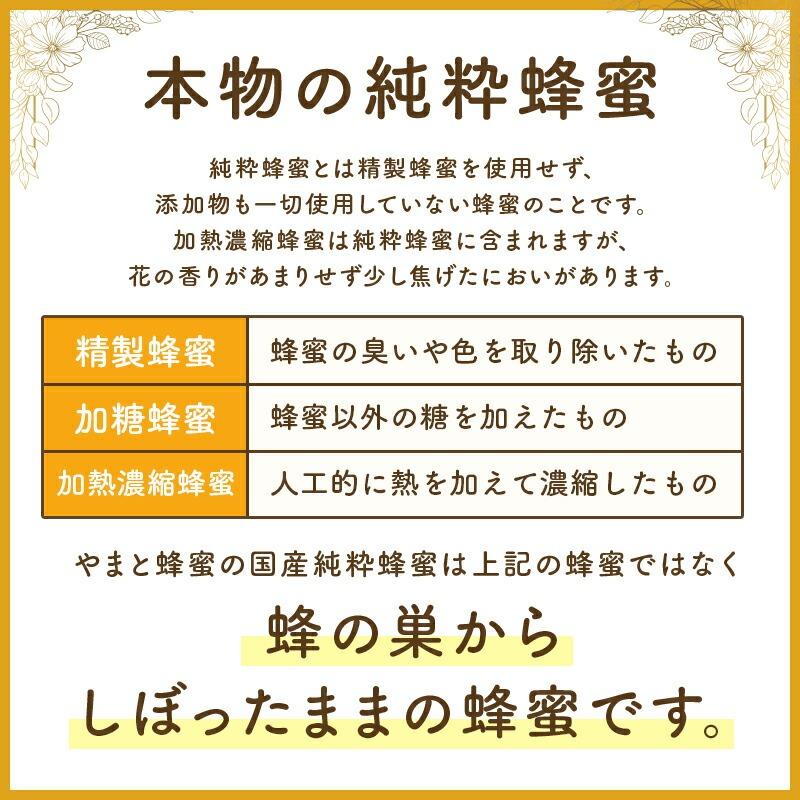 はちみつボトル3本セット (国産純粋蜂蜜500g × 3本セット) (やまと蜂蜜) (送料込み) C-210-ya_3
