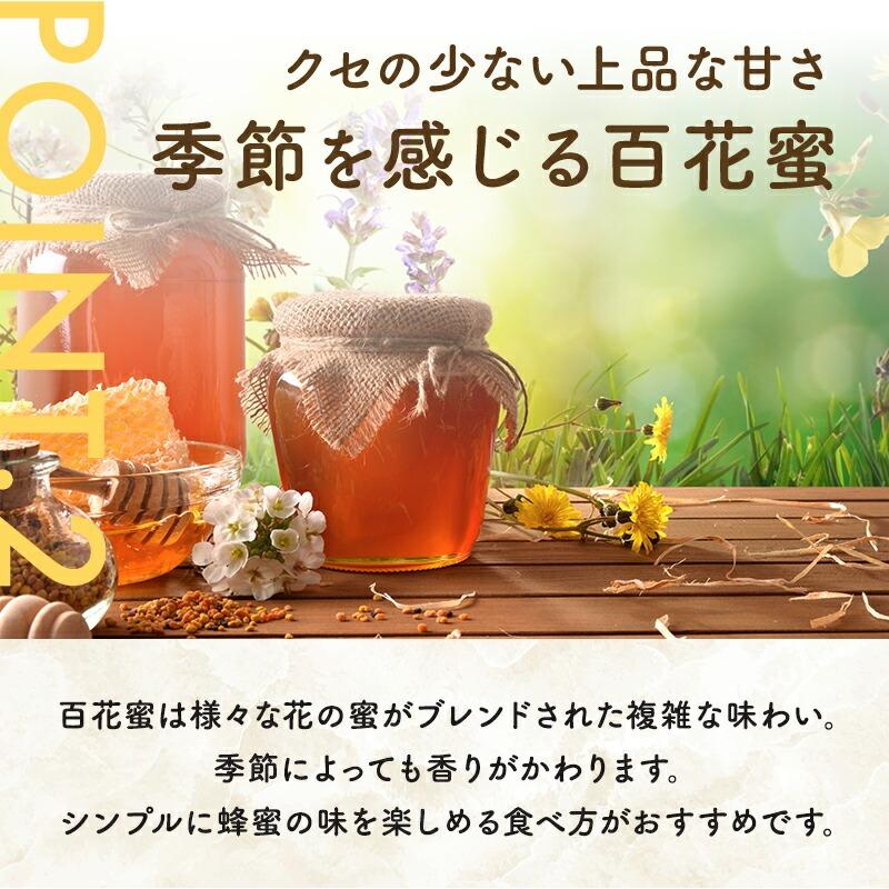 はちみつボトル3本セット (国産純粋蜂蜜500g × 3本セット) (やまと蜂蜜) (送料込み) C-210-ya_4