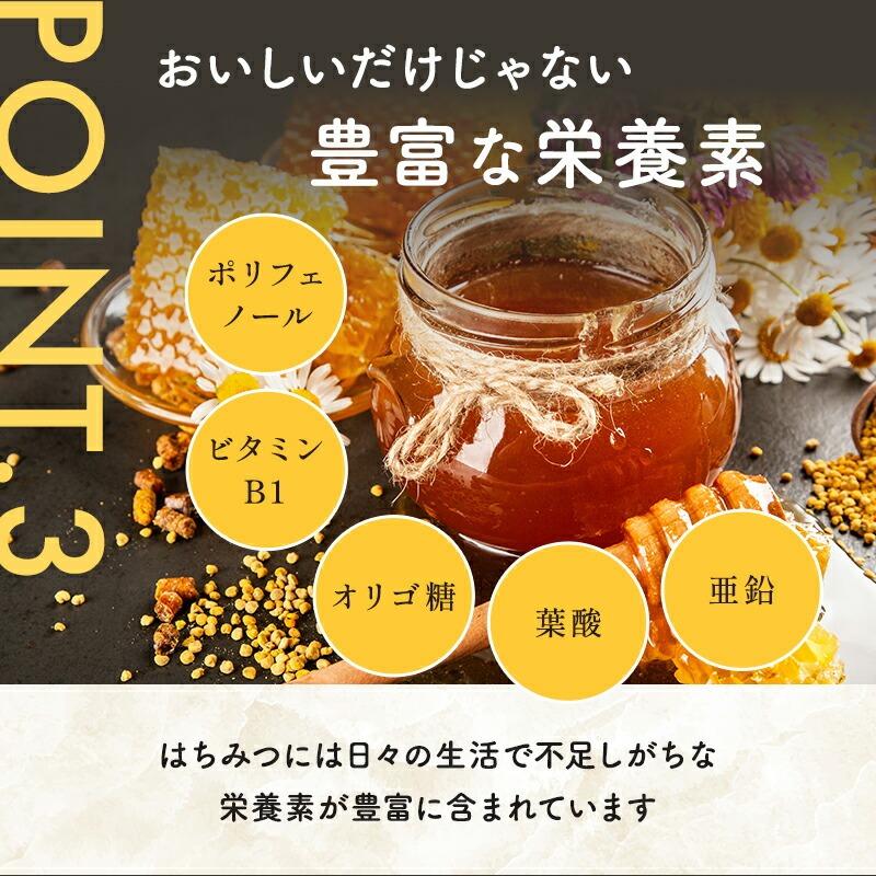 はちみつボトル3本セット (国産純粋蜂蜜500g × 3本セット) (やまと蜂蜜) (送料込み) C-210-ya_5