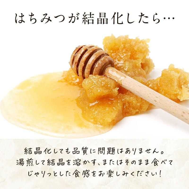はちみつボトル3本セット (国産純粋蜂蜜500g × 3本セット) (やまと蜂蜜) (送料込み) C-210-ya_8