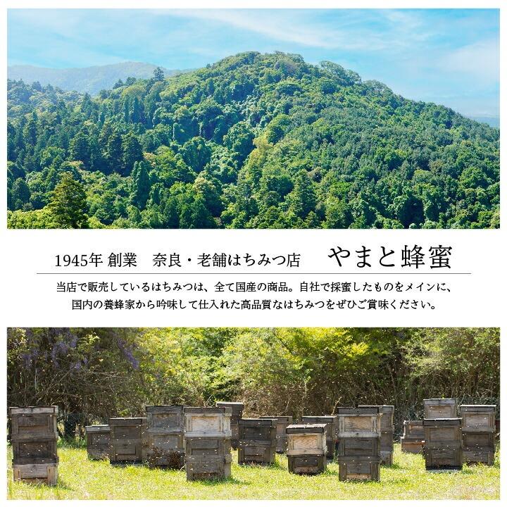 はちみつ 進物セット71 (国産純粋蜂蜜1kg × 2本セット) (やまと蜂蜜) (送料無料) C-71-ya_3
