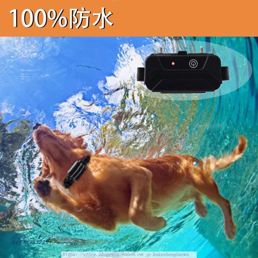 犬無駄吠え防止 リモート ペットトレーニング しつけ用首輪 安全 有効 噛み癖 Ipx7防水 愛犬訓練 充電式 ３モード 全犬種対応 振動 警告音 無駄吠え改善 スチーマー ご注意 欠品の場合メールにてご連絡しますので ご了承ください Arrowspeedline Com Vn