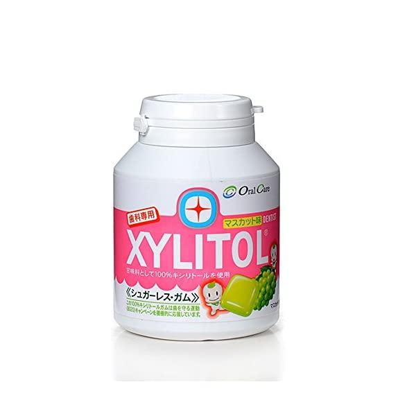 オーラルケア キシリトールガム ボトルタイプ90粒 マスカット 歯科医院専用 の商品画像