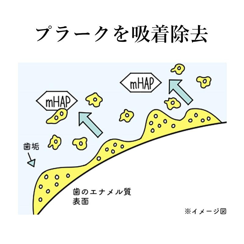 Oral Care オーラルケア アパガード リナメル 120g 3個