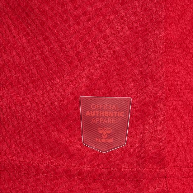 hummel（ヒュンメル） デンマーク代表 2022 ホーム 半袖レプリカ