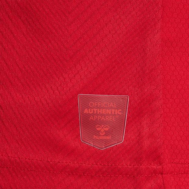 hummel（ヒュンメル） デンマーク代表 2022 ホーム 半袖レプリカ
