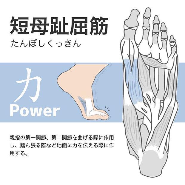 Activital PRO ファイブ 5本指フットサポーター 【Activital|アクティバイタル】サッカーフットサルソックスhrd1065-6|kemari87|09
