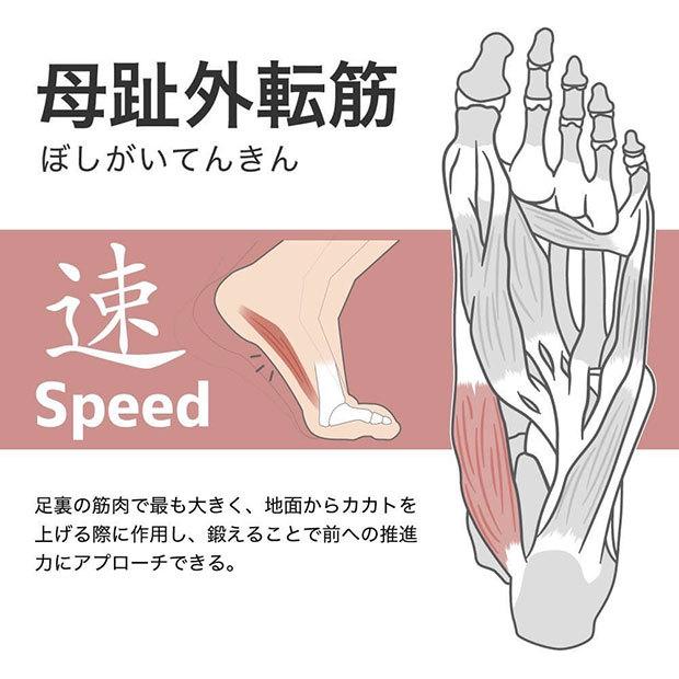 Activital PRO ファイブ 5本指フットサポーター 【Activital|アクティバイタル】サッカーフットサルソックスhrd1065-6|kemari87|10
